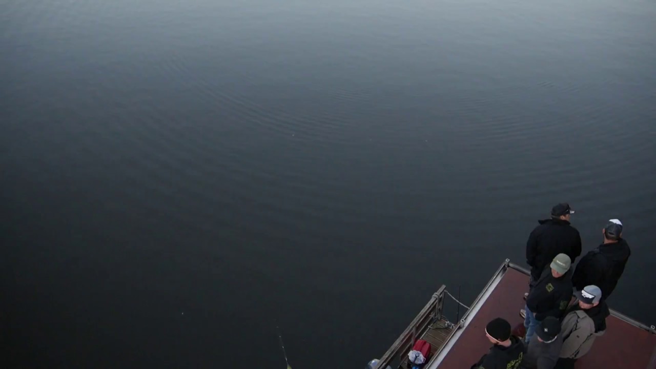 La Gatzo Custom Lures - Trailer