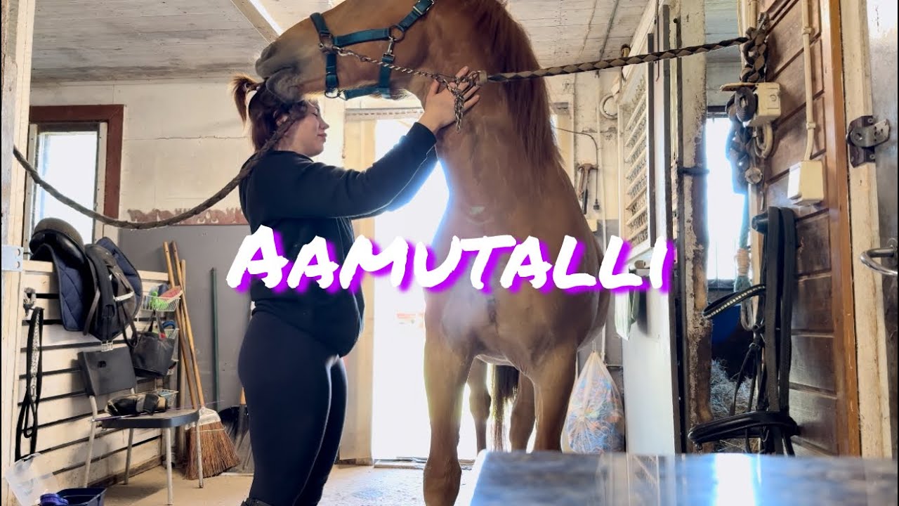 Ritvan ensimmäinen tallivuoro!