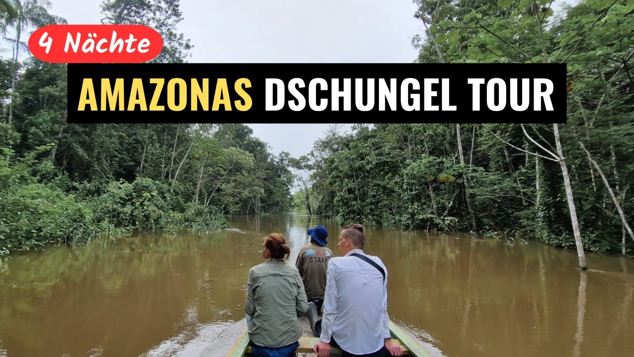 Amazonas Dschungeltour • 4 Nächte im Regenwald in Brasilien | Weltreise Vlog 08