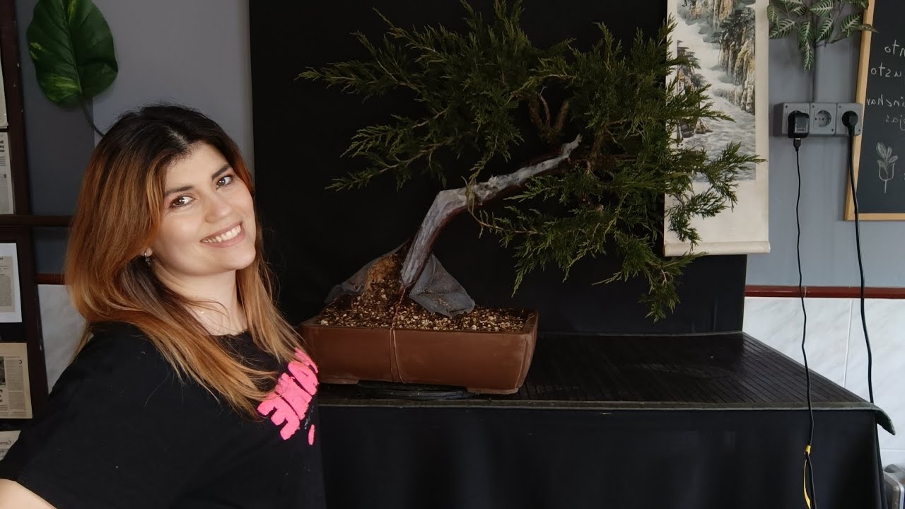 Sabina Rastrera PARTE 2. Limpieza de madera