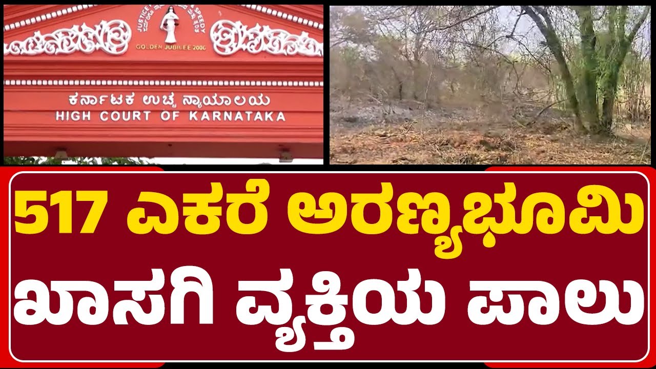 Forest Land Scams : ಖಾಸಗಿ ವ್ಯಕ್ತಿಗೆ ಅರಣ್ಯ ಭೂಮಿ ನಮೂದಿಸಲು ಹೈಕೋರ್ಟ್​​​ನಿಂದ ಆದೇಶ |@newsfirstbengaluru