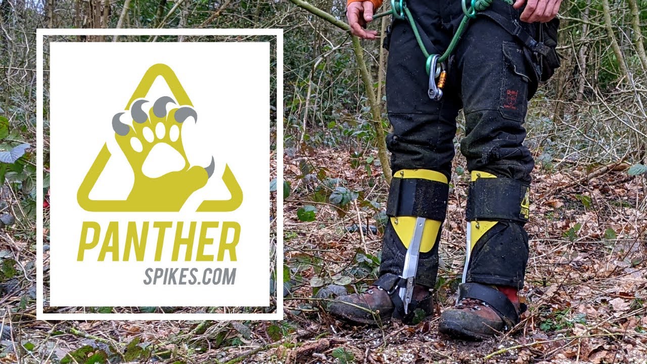 PANTHER CLIMBING SPIKES | Tree climbing Spurs/ Gaffs (First Time Use)