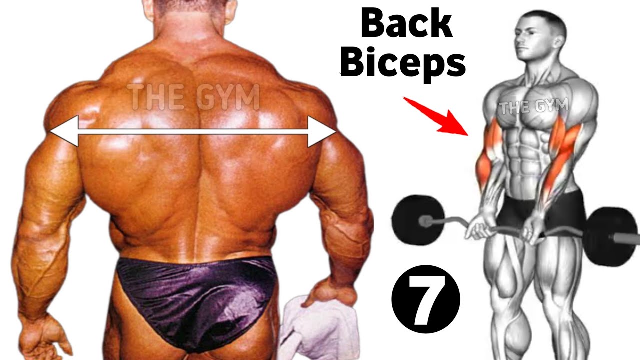 7 Perfect back and biceps workout ( fastest )