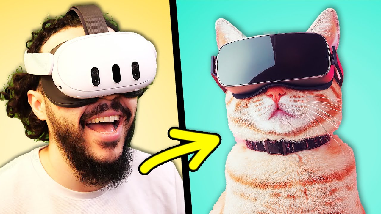 JE SUIS UN CHAT EN VR (I Am Cat VR)