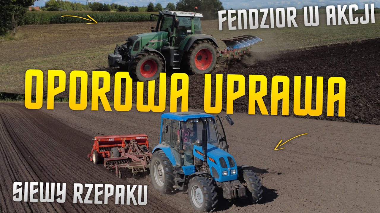 ✩ 🇵🇱 SIEW RZEPAKU 2025 ✩ Fendt w akcji ✩ Hubert Rol Tv ✩