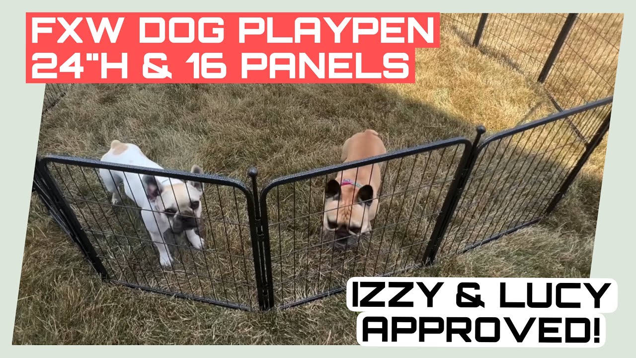 🐶 FXW Aster Dog Playpen - Unboxing & Installation - What do we think?! #sponsored