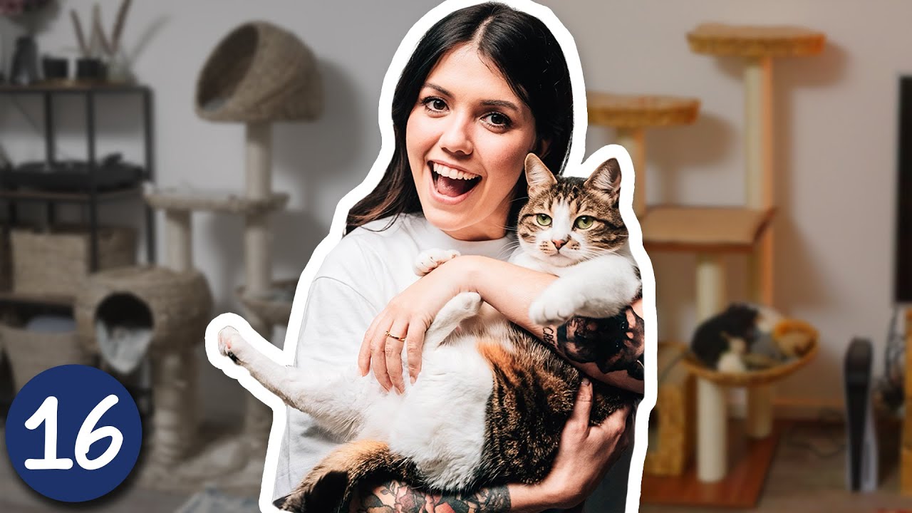 Katzen Wohnung Umstyling | VLOGMAS 16