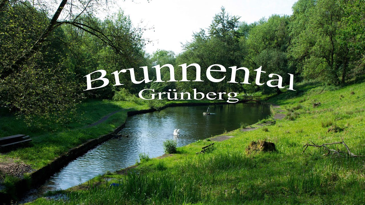 Brunnental Grünberg