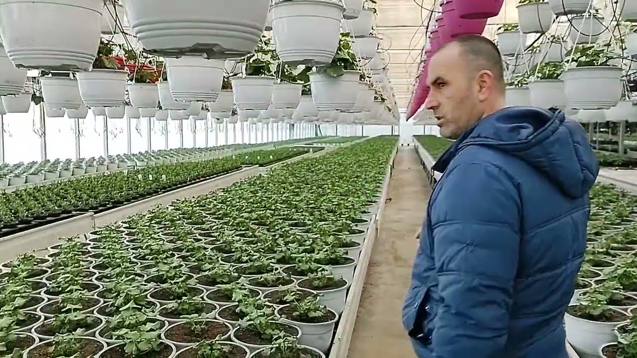 AM VIZITAT SERA DE FLORI GRADINA DIN SUD!!!