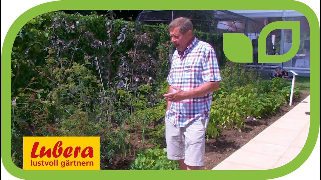 Die Vorteile von Szechuan Pfeffer - erkl&auml;rt von Chris Smith, der Gr&uuml;nder von Pennard Plants