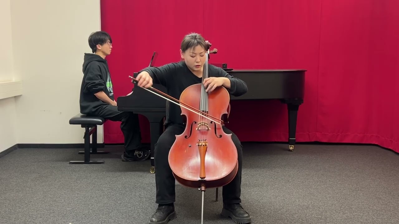 Haydn Concerto in D major, 1st.