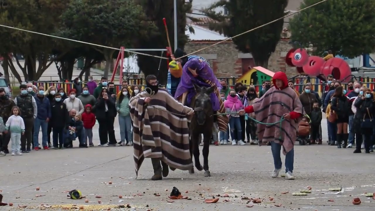 Fiesta de quintos en Vitigudino