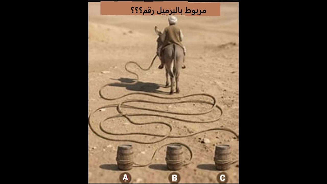 #اسئلة4$$$$$