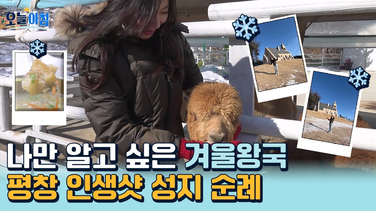 [생방송오늘아침] 나만 알고 싶은 겨울왕국❄️ 평창 인생샷 성지 순례📸 #MBCLIFE MBC260127방송