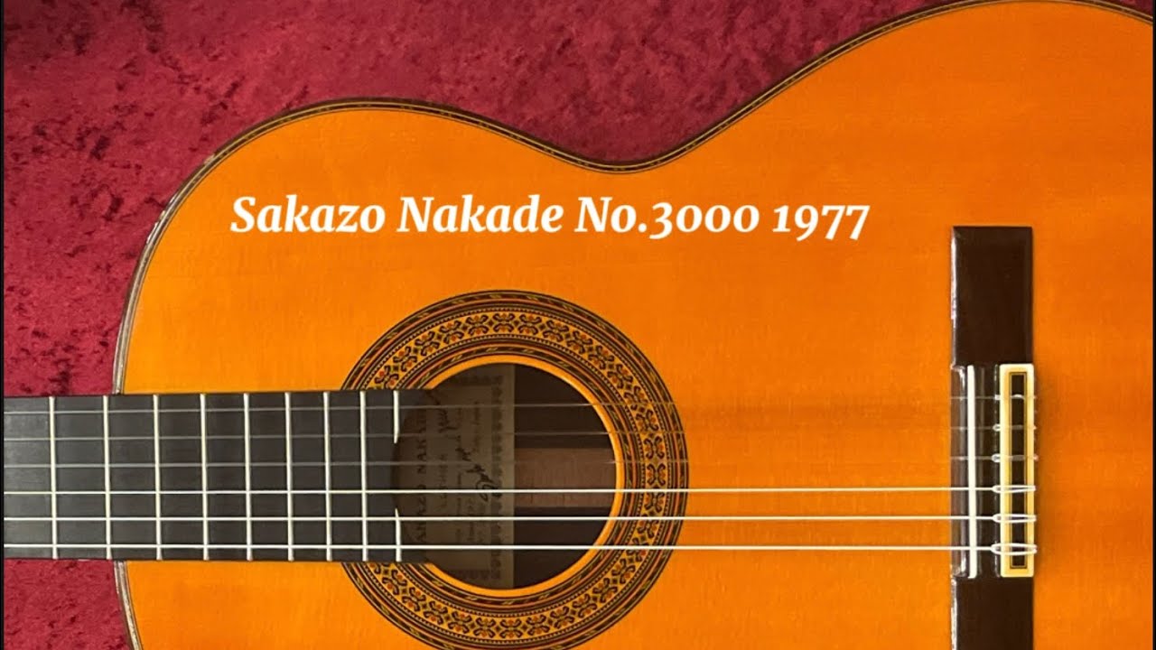 中出阪蔵 Sakazo Nakade No.3000 1977年製 アメリア（クリスティアント）