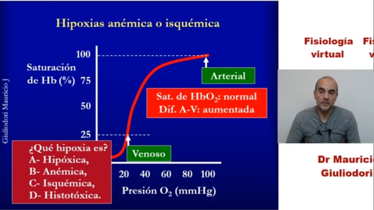 Fisiología respiratoria: relación ventilación – perfusión, saturación de hemoglobina e hipoxias