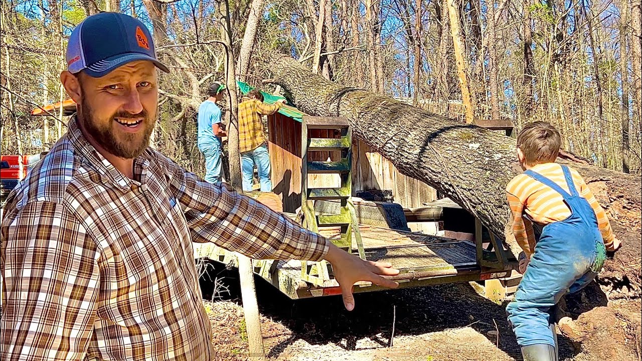 Dangerous tree removed and loaded without heavy equipment!
