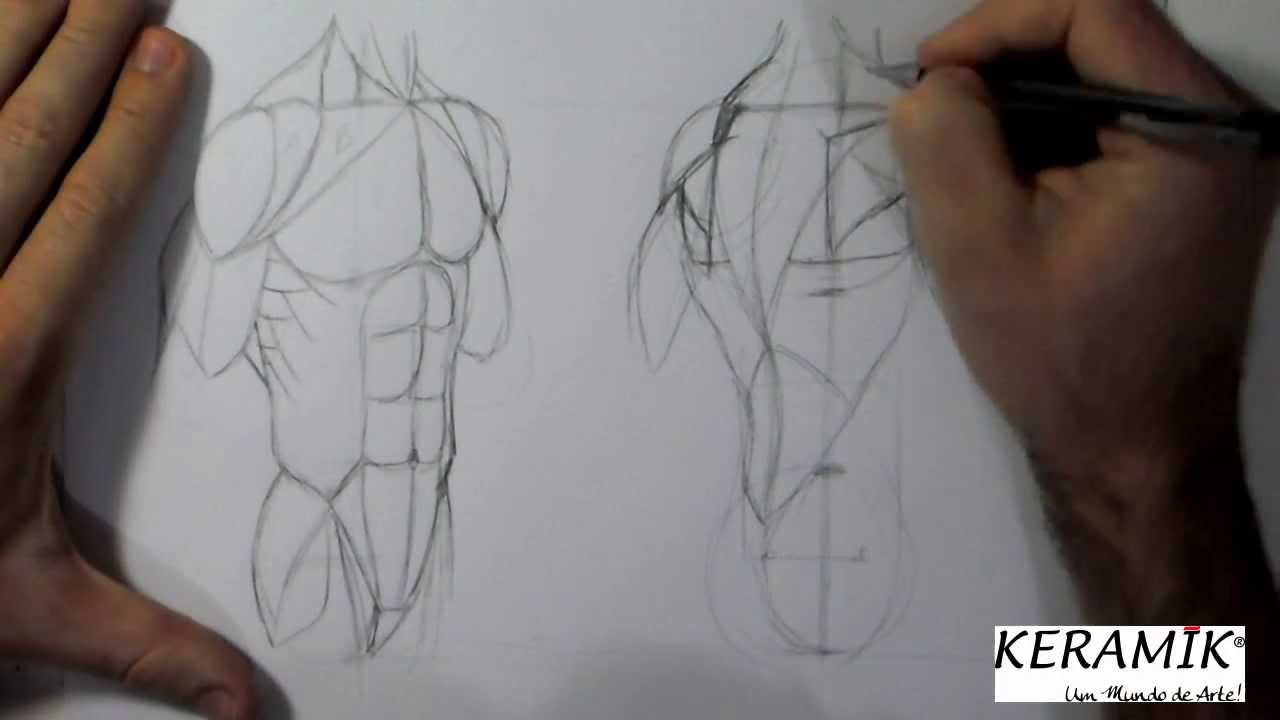 Como desenhar: Tronco Semi Perfil Frente x Costas - Praticando Anatomia