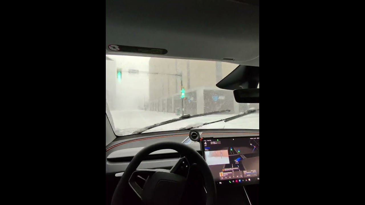 Tesla FSD survives Mini avalanche during blizzard