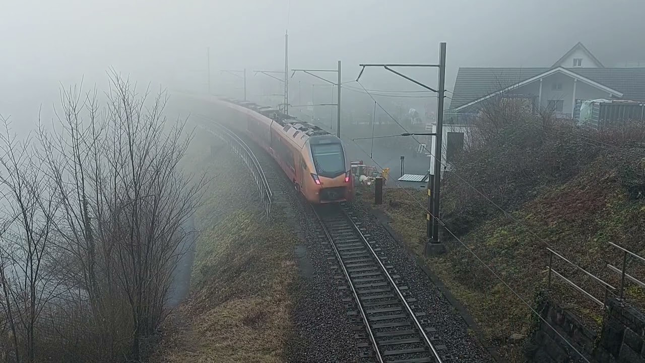 Bahnverkehr am 5. Februar 2024 - BLS Re 425 & Ae 3/6 I