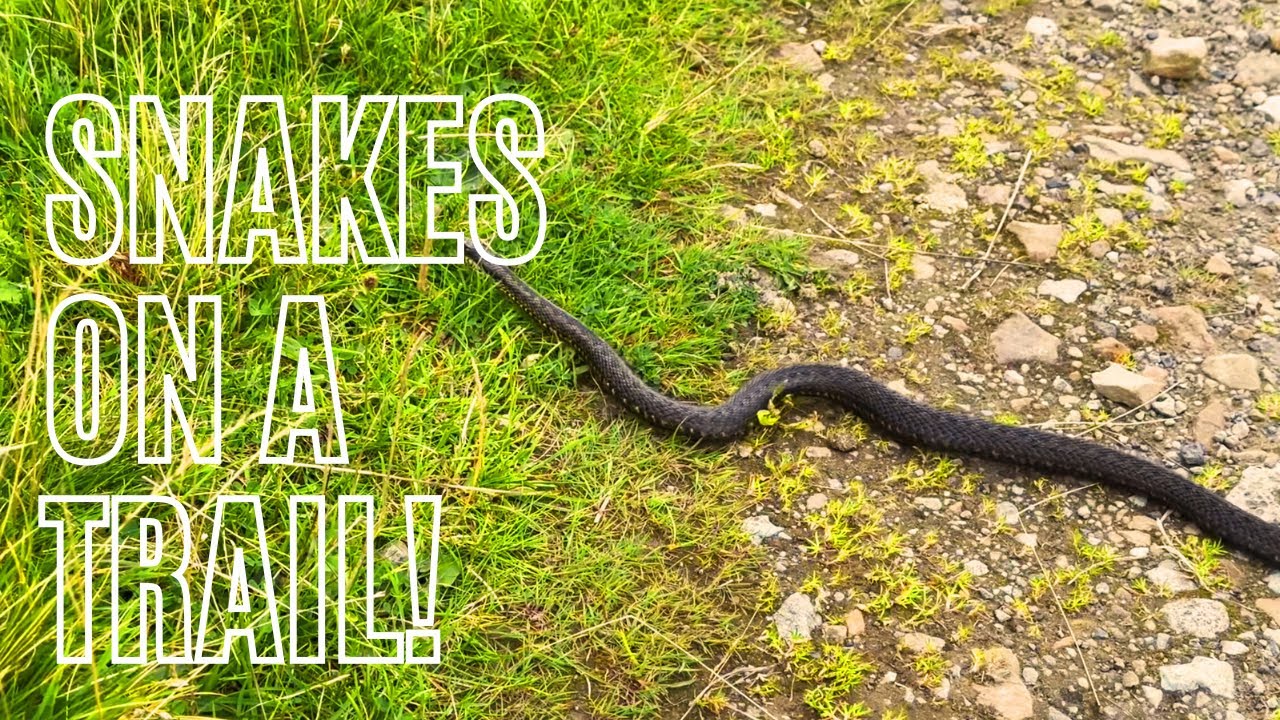 Esk Valley Walk - A journey across the North York Moors