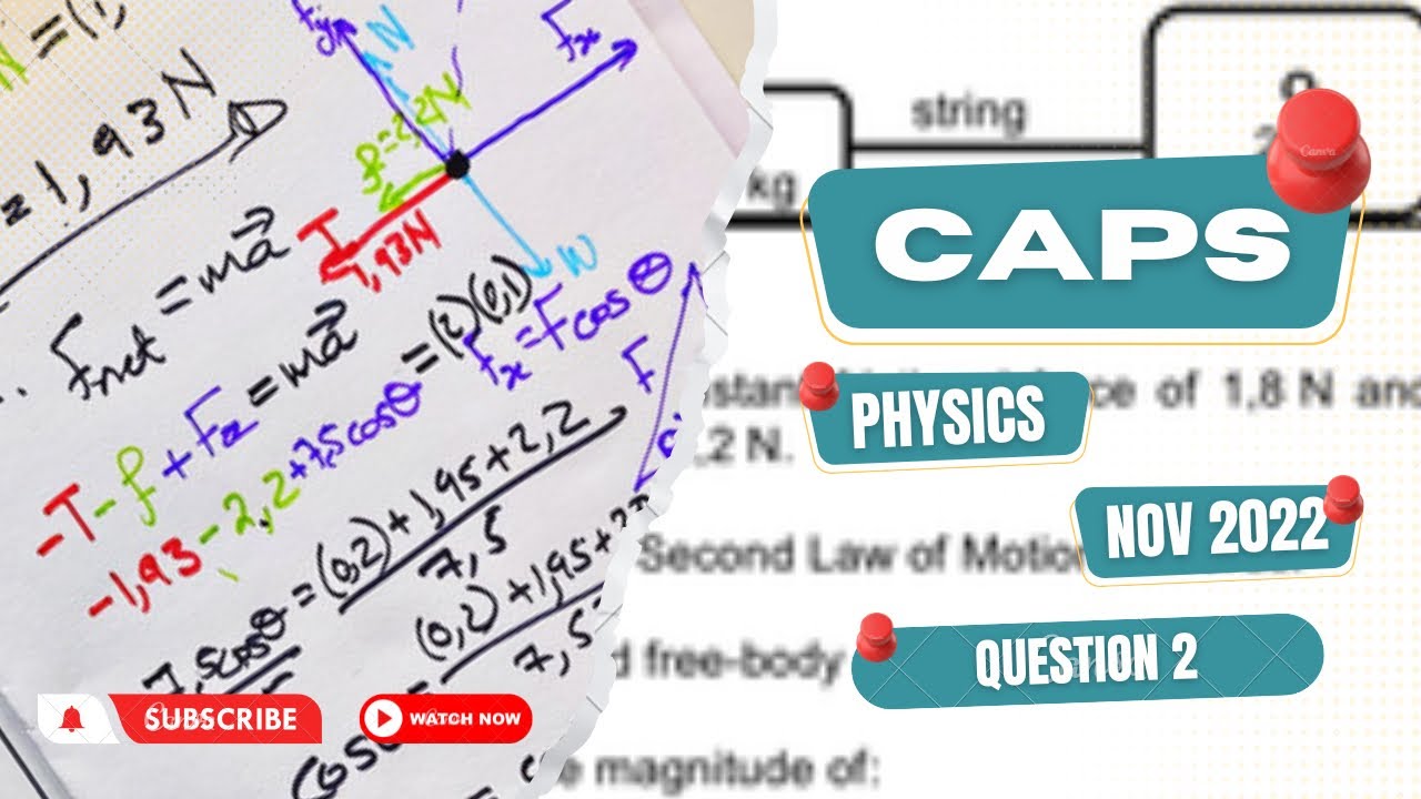 CAPS Physics (P1) Question 2 Nov 2022