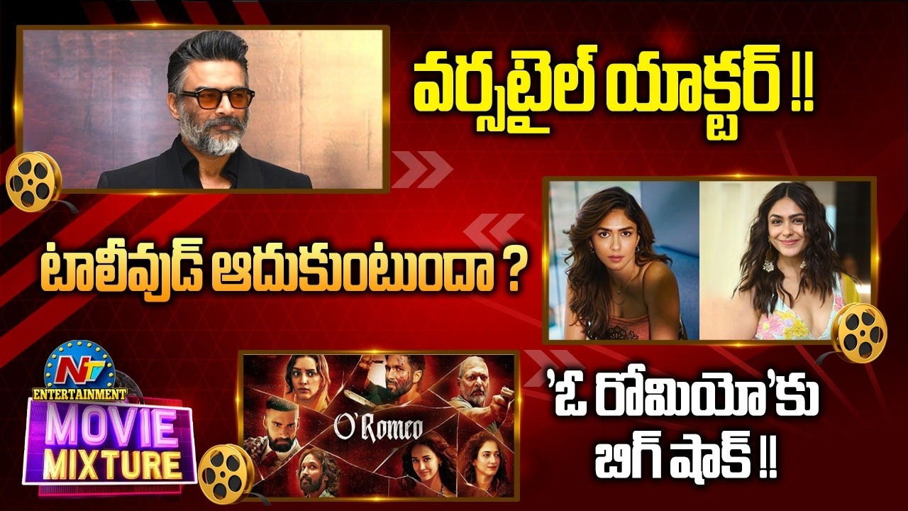 Mrunal Thakur New Movie Updates ? | Big Shock for Shahid Kapoor's O' Romeo Movie ? | NTV ENT