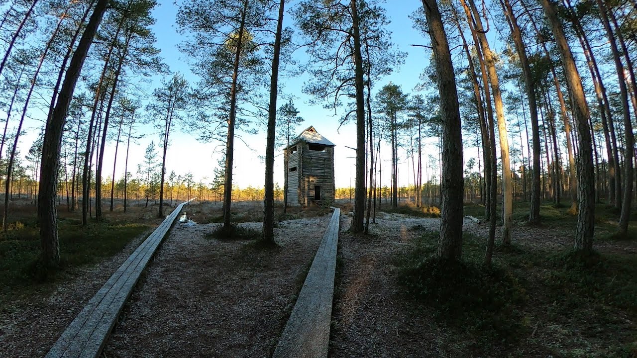 #38 SUURETÜKI OBSERVATION TOWER