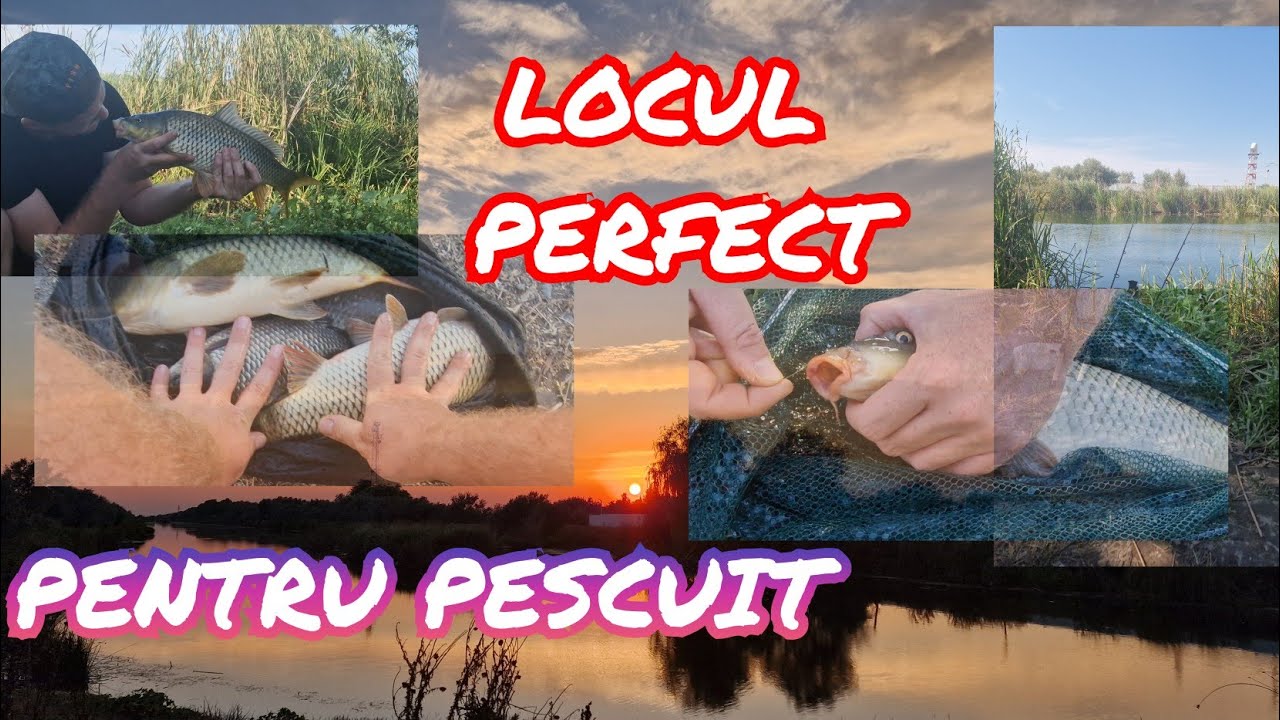 NU STIU MULTI DE LOCUL ASTA PLIN DE PESTI SI MANANCA LA PORUMB SI MAMALIGAAA LA GREU  2025 DUNARE