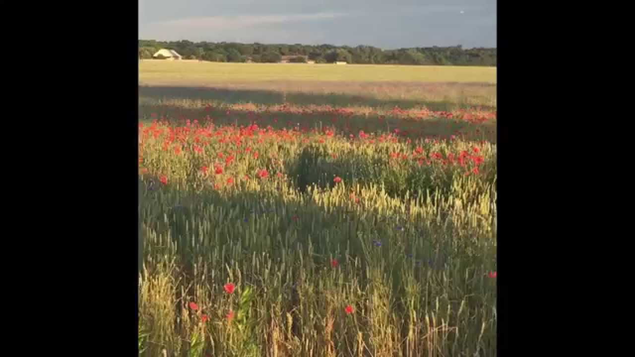 Hohen Neuendorf
