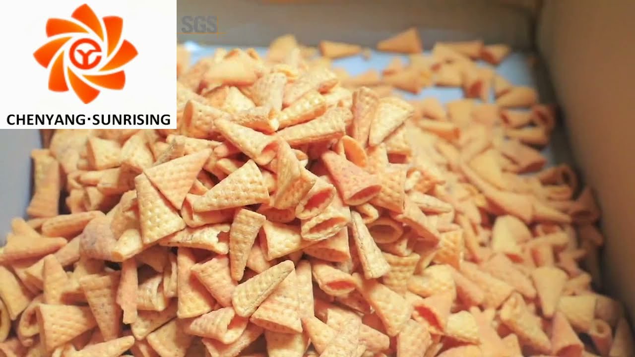 Jinan Sunrising machinery--professinal snack food machine, pet food machine manufacturer