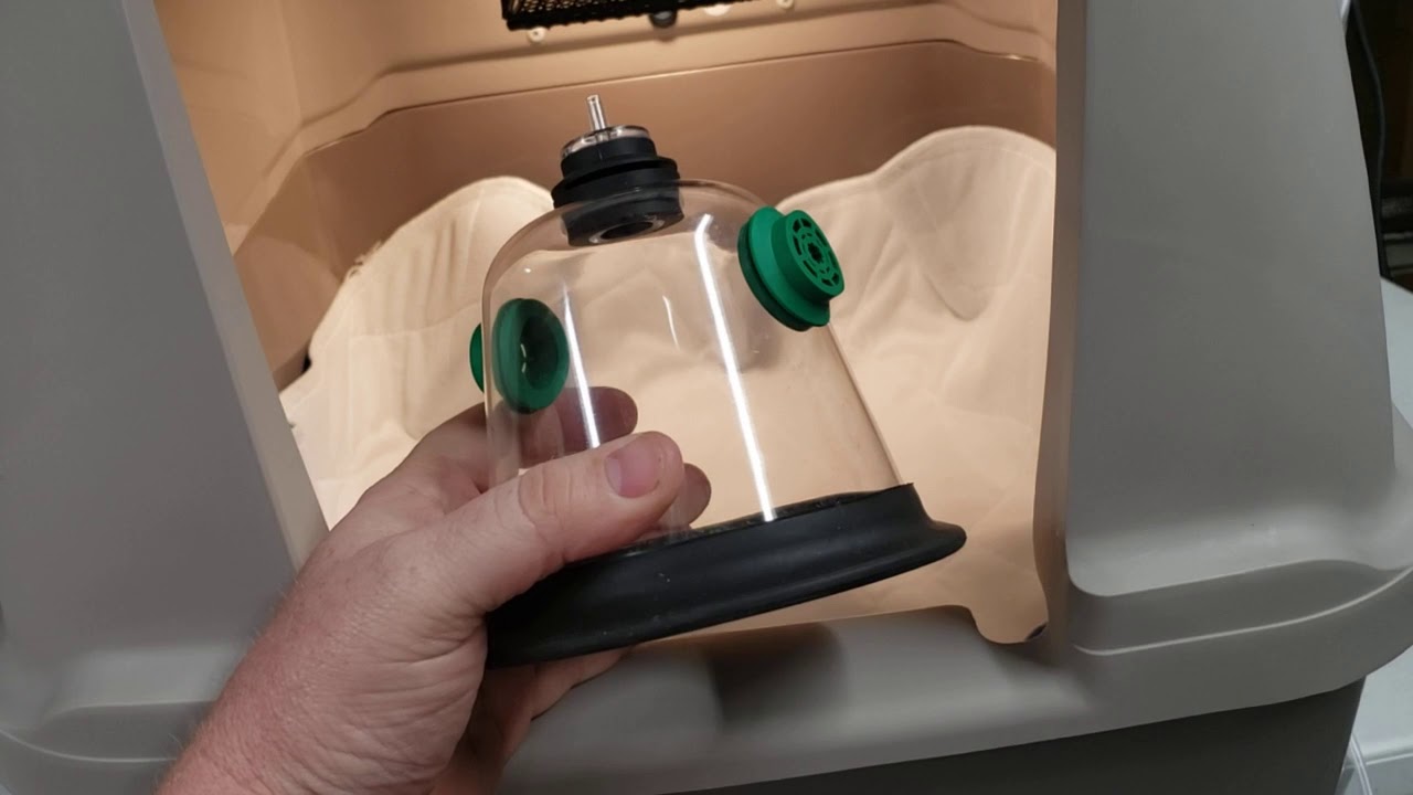 Hooking up an oxygen concentrator to the Lifeline Pet Supplies Puppy Kitten Pet Incubator Icu