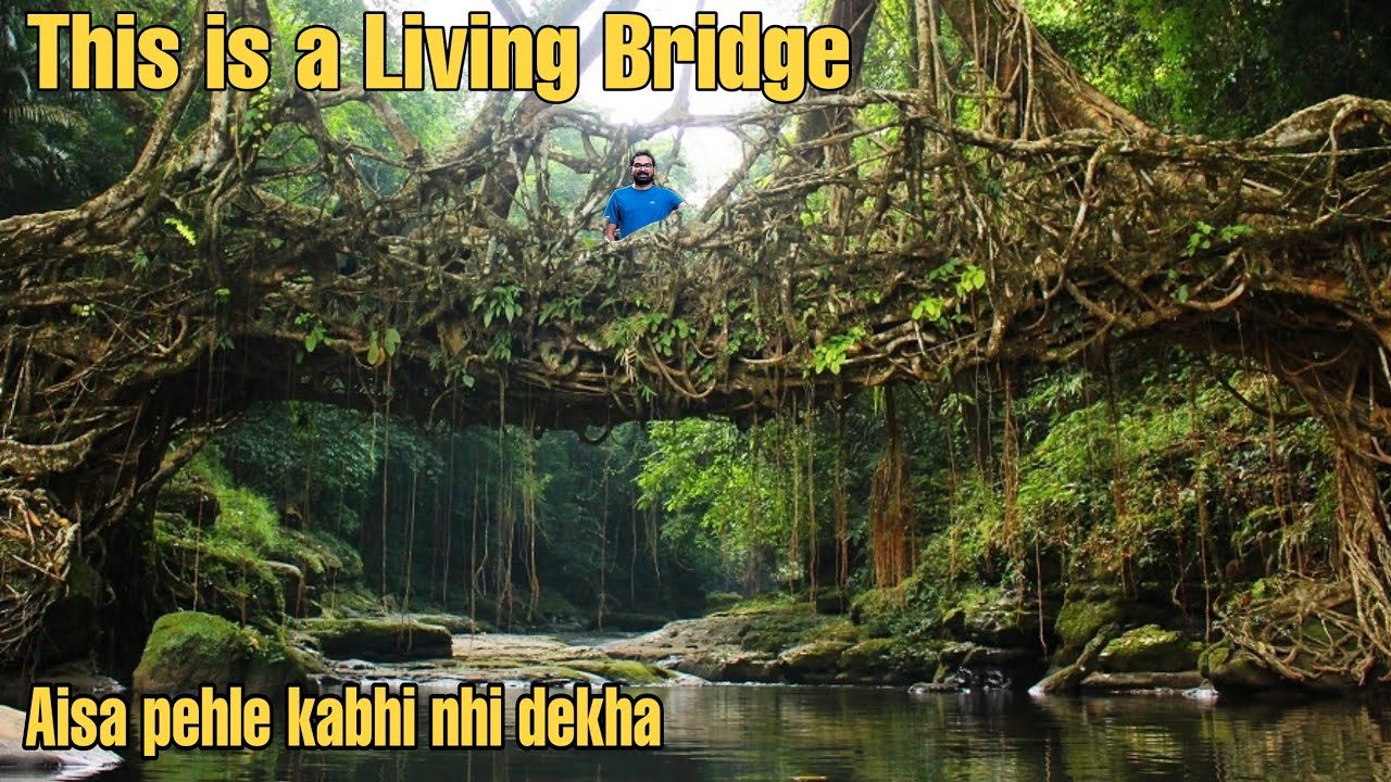 EP-14 | This is Asia's Cleanest Village Mawlynnong & Live Root Bridge of Meghalaya |North East Ride