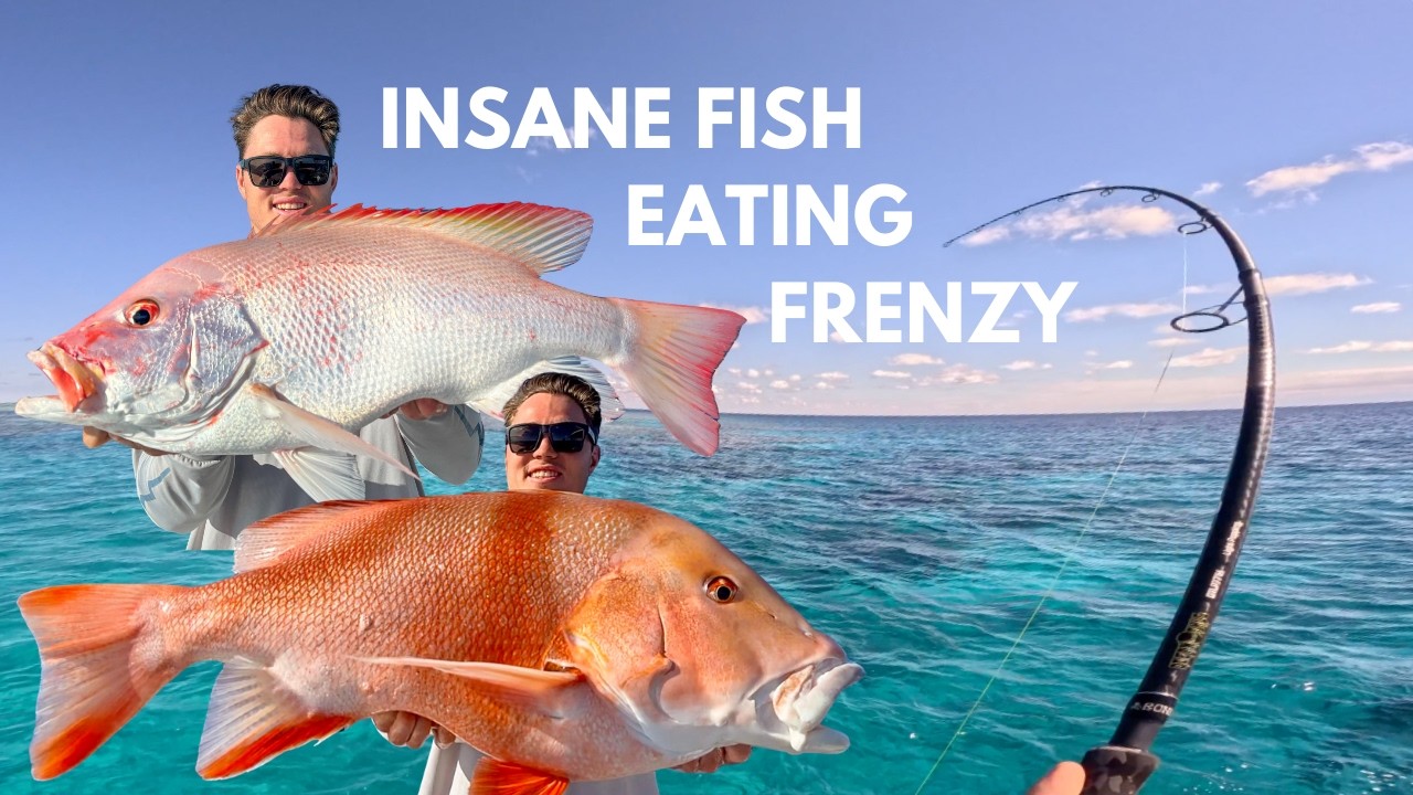 TRAVELING north to the WHITSUNDAYS - INSANE REEF FISHING
