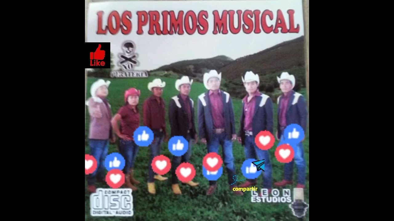LOS PRIMOS MÚSICAL DE COCHOAPA
