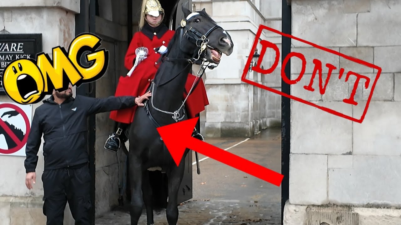 King's Guard Reacts as two tourists completely ignored the New Rules!