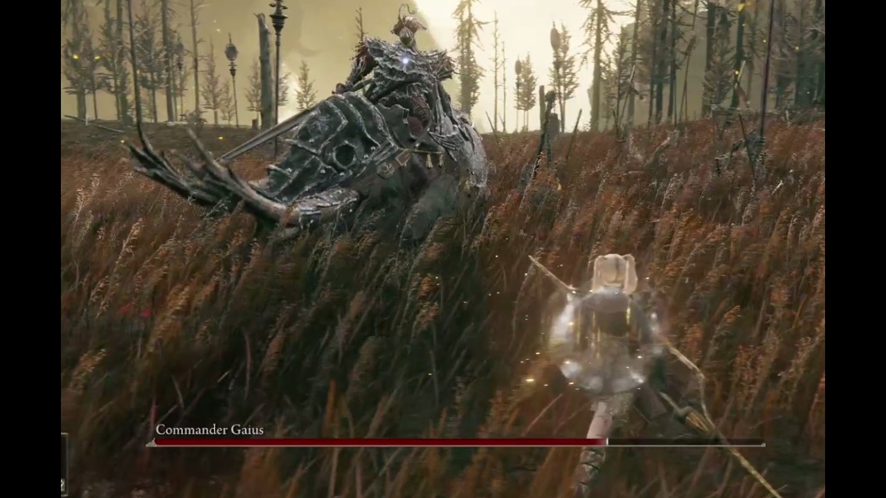 Flashy vs Commander Gaius