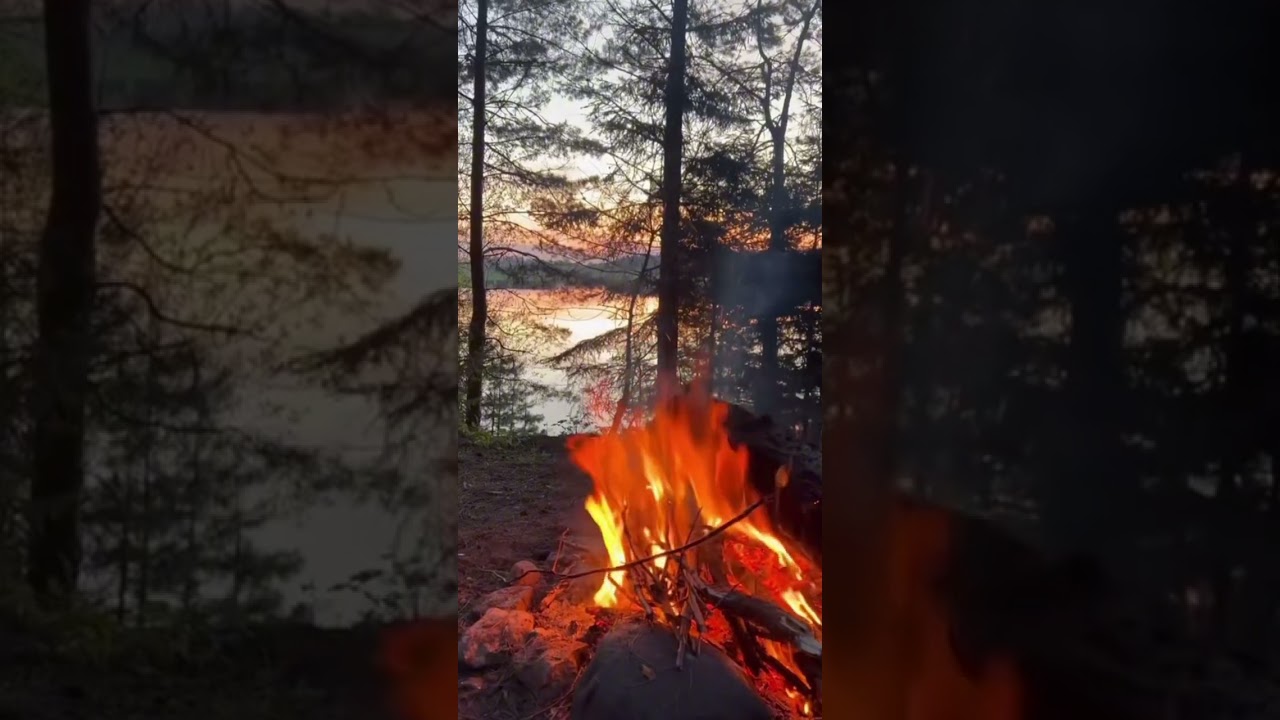 Romane Gila 2025 Jagna