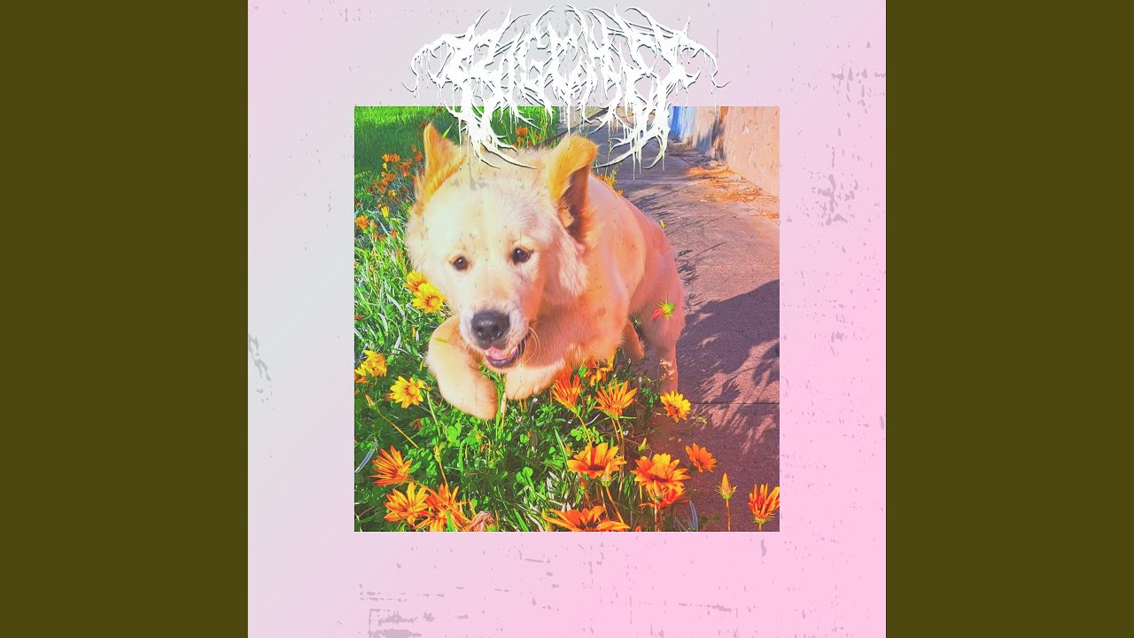 ▲White Guy With a Podcast▲