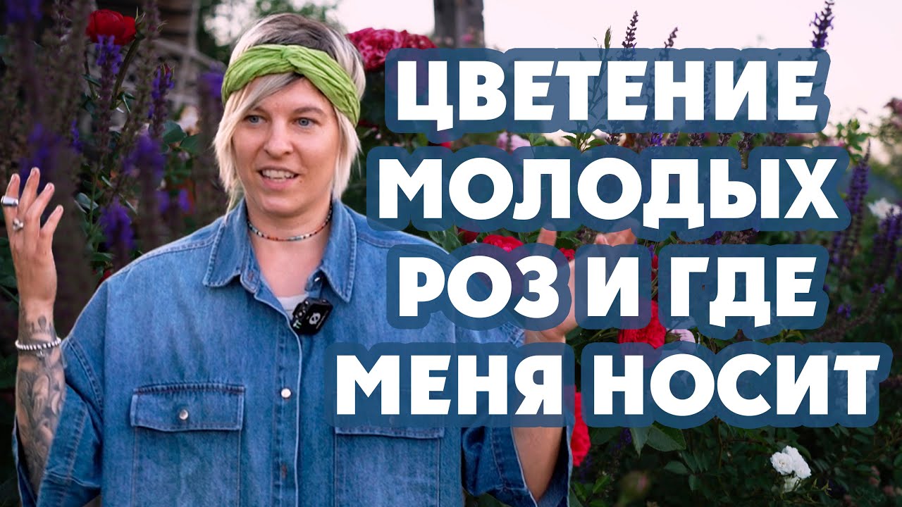 Цветение роз 9 июля. Большой обзор роз от двух до ноля лет.