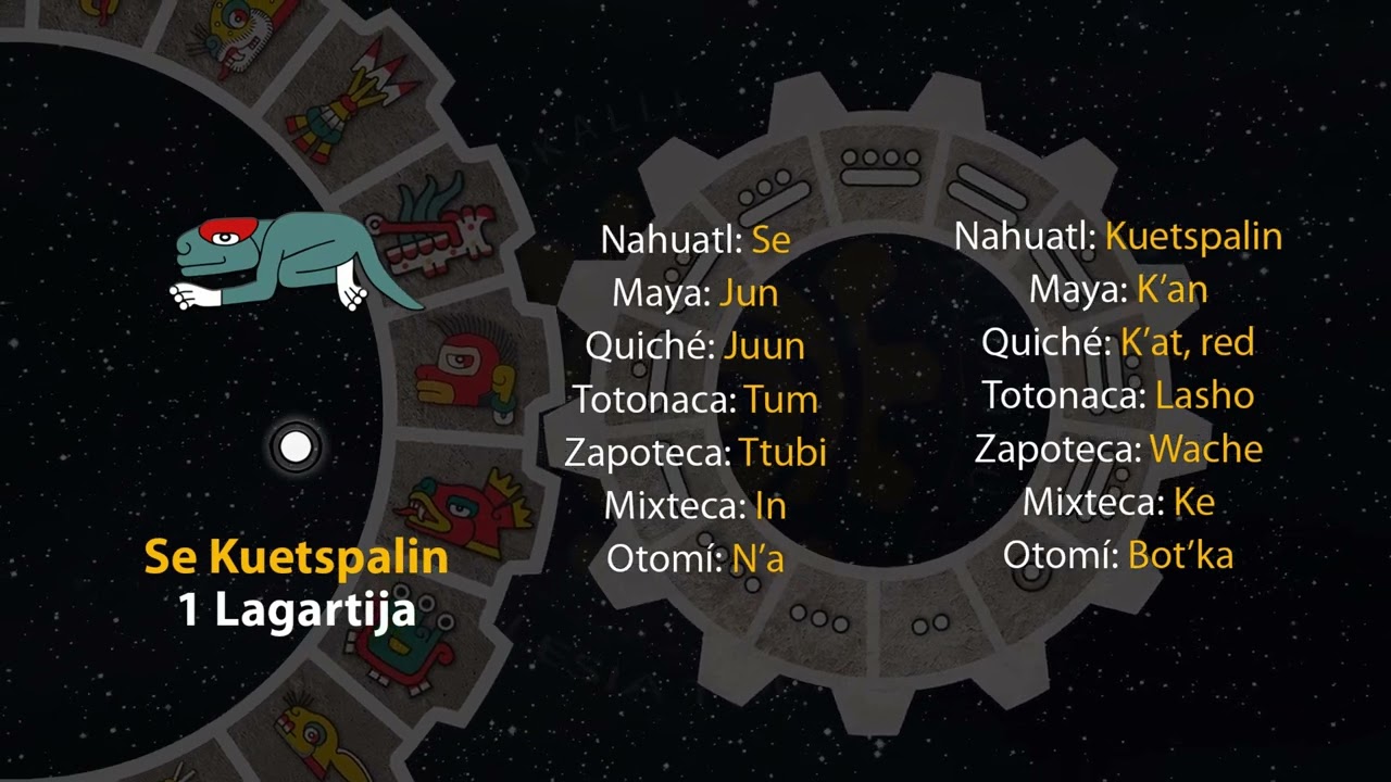 El tonal de hoy es "1 Lagartija - Se Kuetspalin" 31/01/26