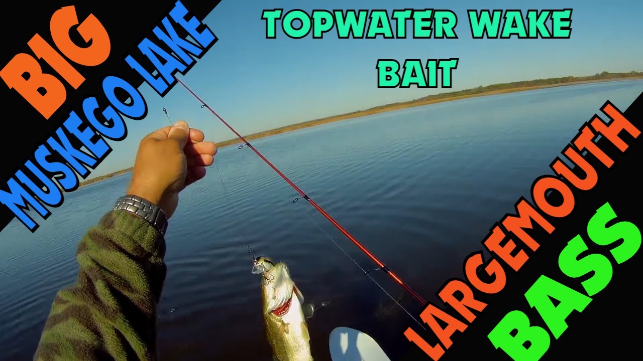 Largemouth Bass fishing on Big Muskego Lake