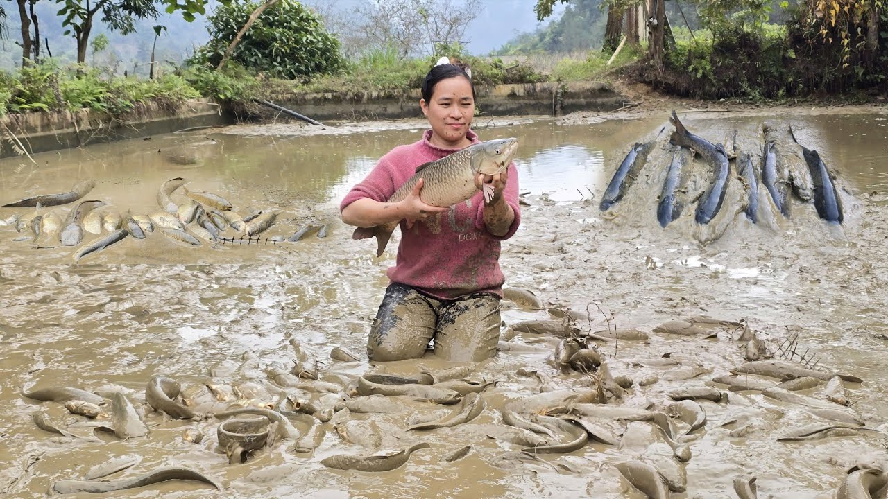 Catch Fish From The Pond, Sell At Market & Cook Fresh Fish | Rural Village Life
