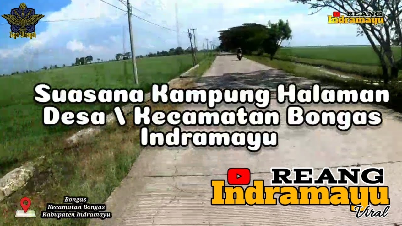 DESA / KECAMATAN BONGAS - INDRAMAYU SUASANA KAMPUNG HALAMAN