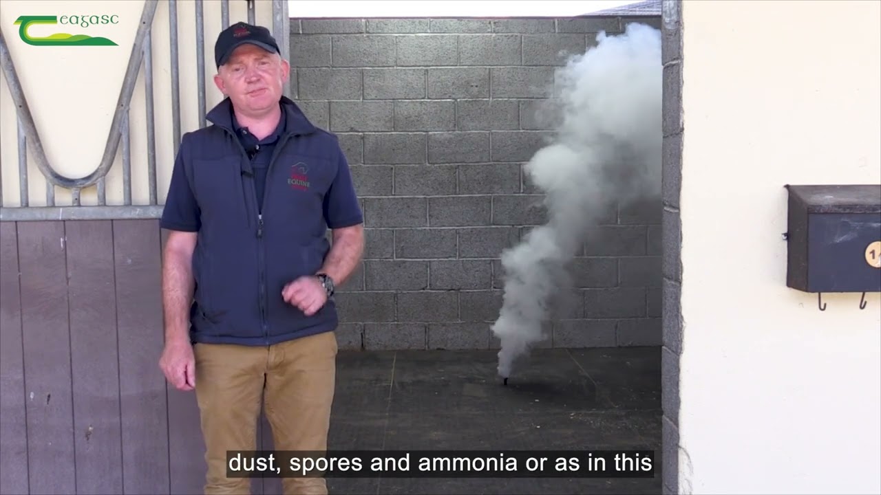 Ventilation | 10 Steps to Protect Equine Health
