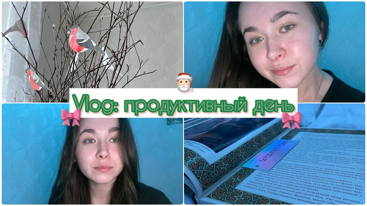 VLOG: продуктивный день перед Новым Годом| чтение| учеба| курсовая работа