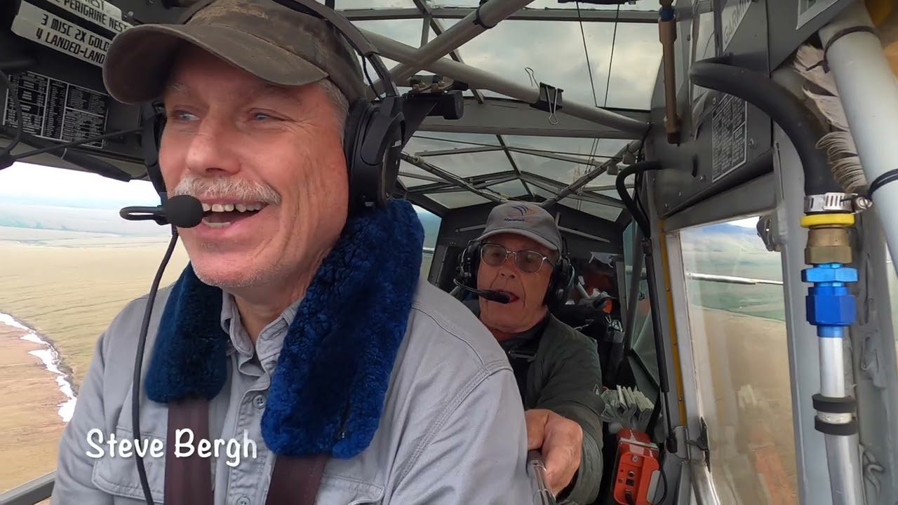 Searching for Gyrfalcons 2023