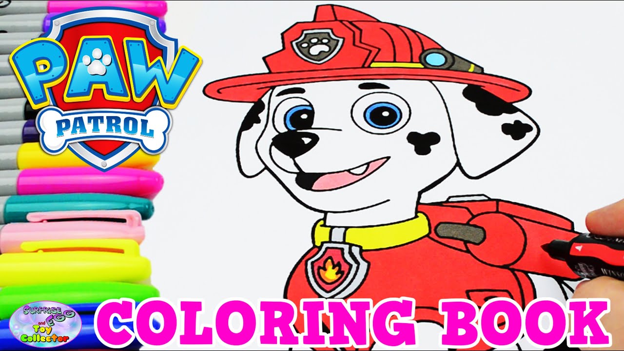 Paw Patrol Coloring Book Marshall Episode Show Surprise Egg and Toy Collector SETC