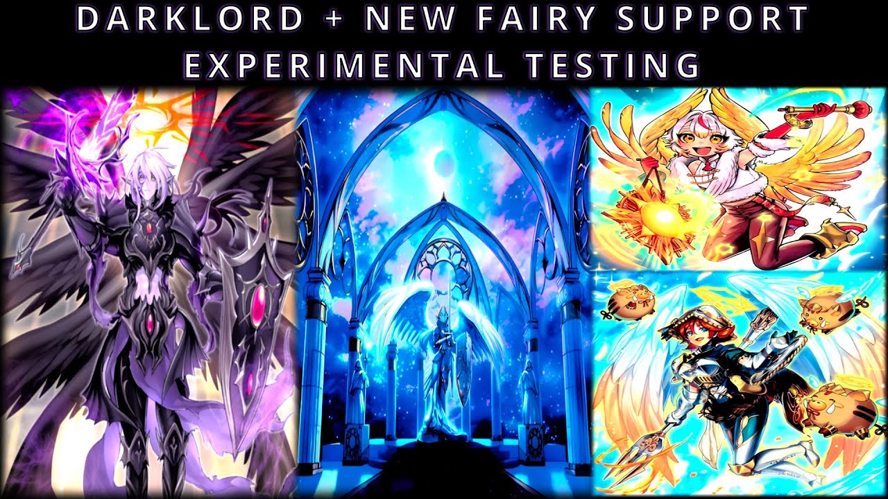 Darklord with New Fairy Support Experimental Testing | MDPro3