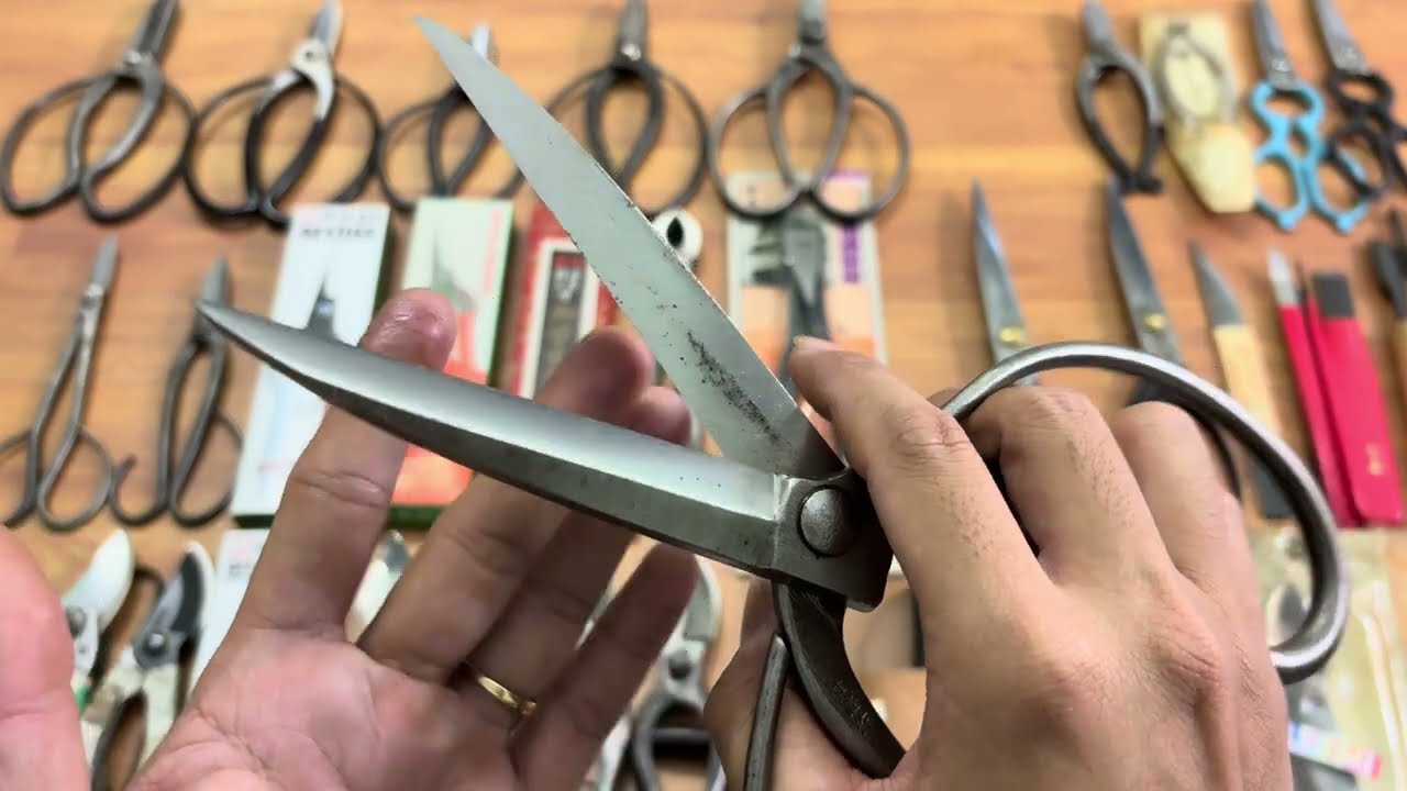 Clip 151 Dụng cụ Bonsai, hàng Nhật bãi, Kéo cắt cành, kéo tỉa ve chai #0376628645 #dungcubonsai 